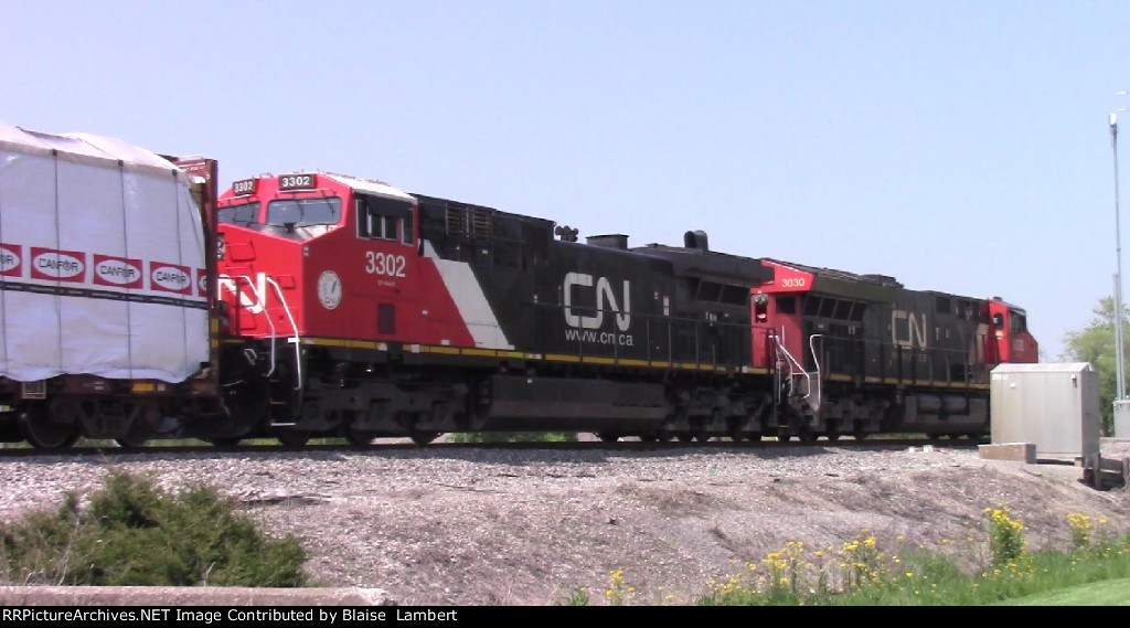 CN A431